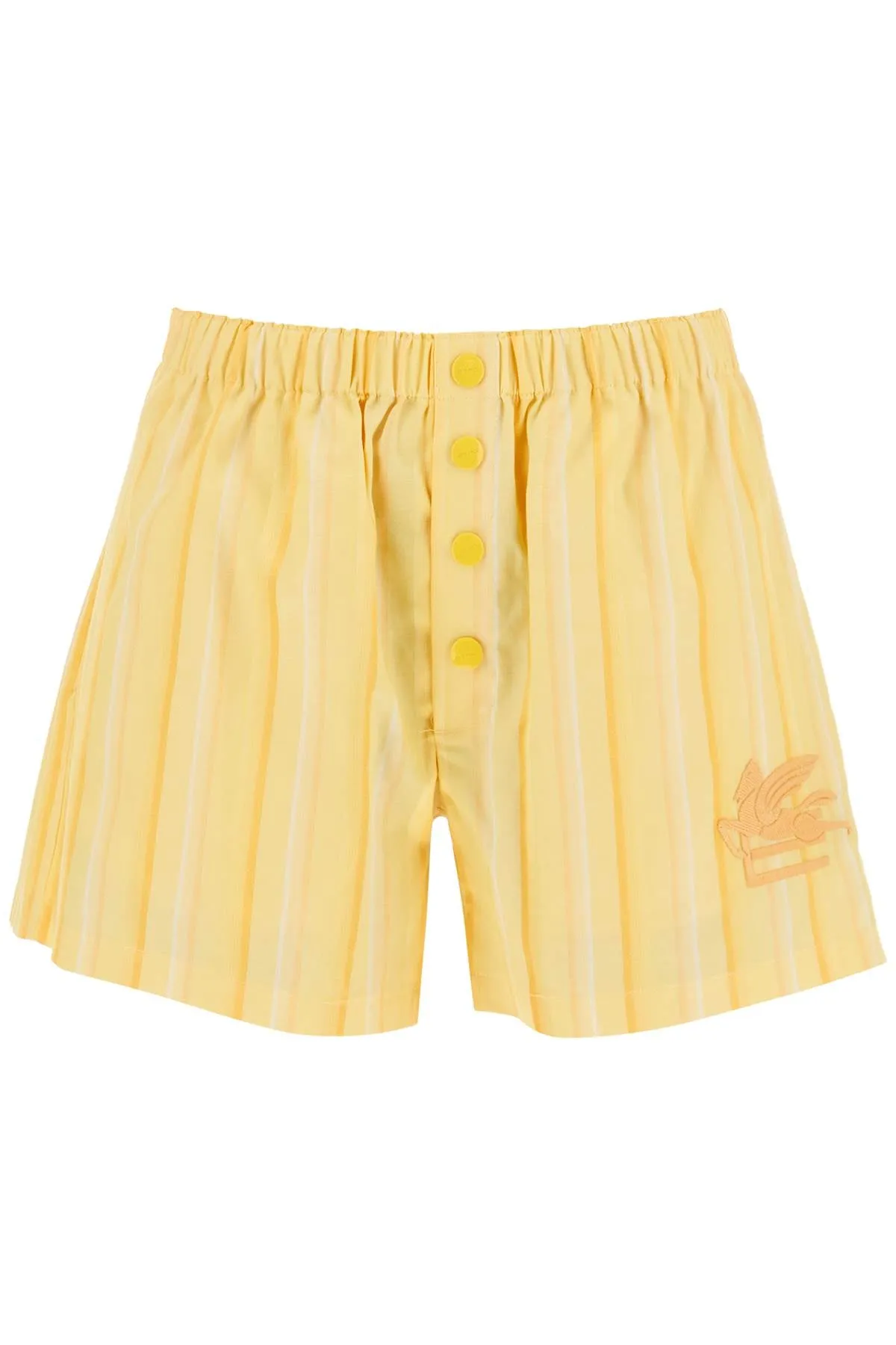 Etro striped shorts with logo embroidery