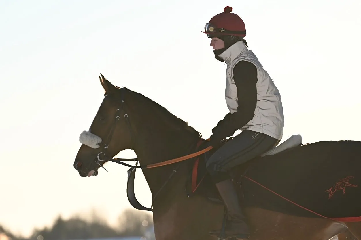 Hi Viz Furlong Waistcoat By PC Racewear